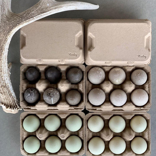 Henlay Duck Egg Cartons - Holds Half Dozen Jumbo Eggs- Blank Flat Top, 2 colors, 20 or 100