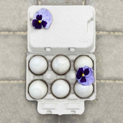 Henlay Duck Egg Cartons - Holds Half Dozen Jumbo Eggs- Blank Flat Top, 2 colors, 20 or 100