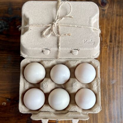 Henlay Duck Egg Cartons - Holds Half Dozen Jumbo Eggs- Blank Flat Top, 2 colors, 20 or 100