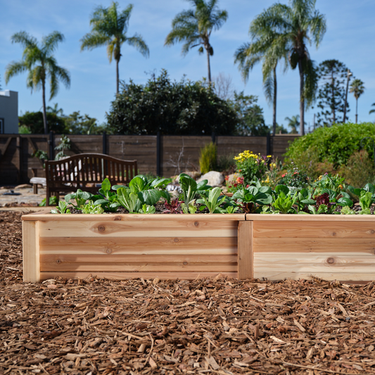 Large Cedar Raised Bed 47" x 91" x 15"