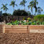 Large Cedar Raised Bed 47