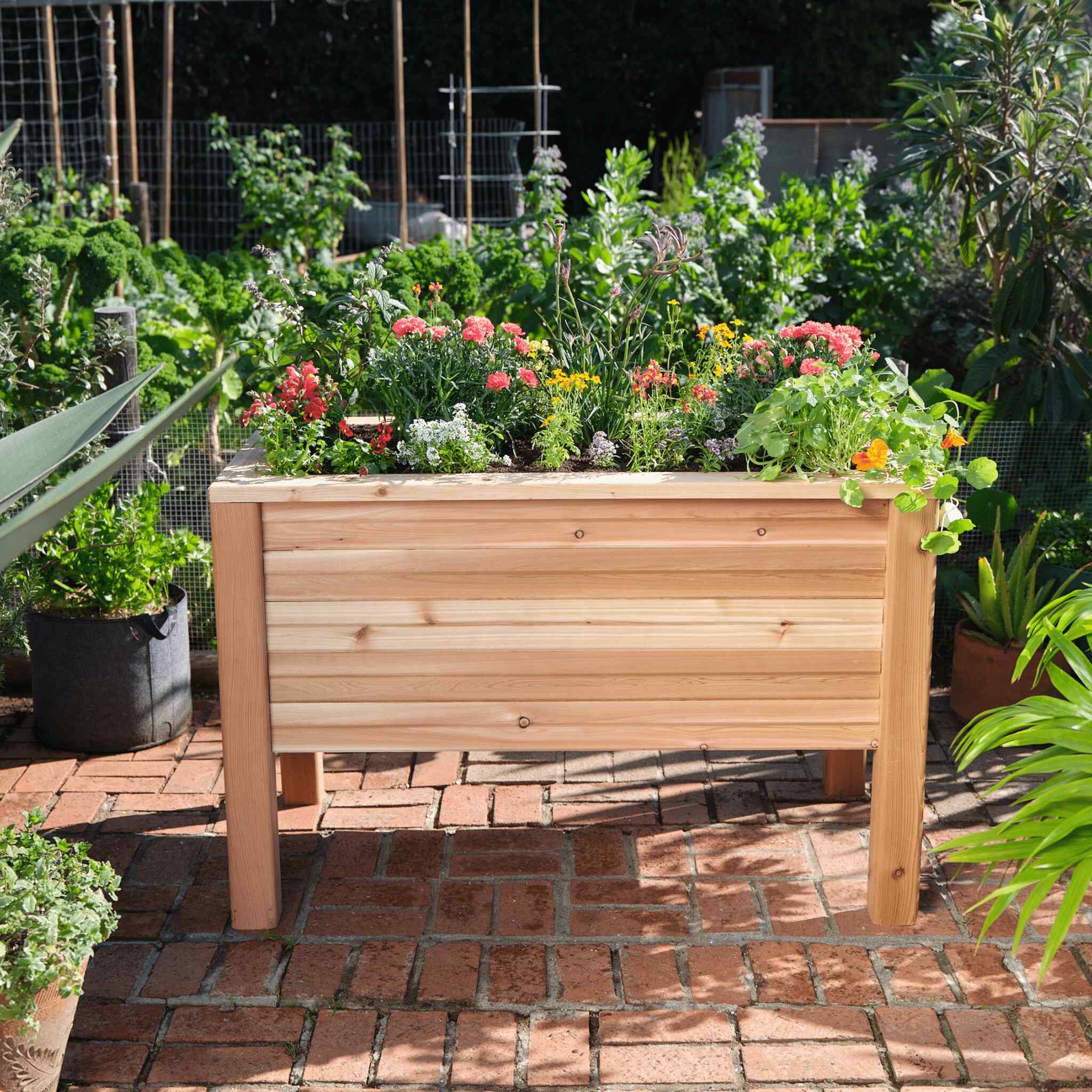 Cedar Wood Raised Garden Bed Kits – Epic Gardening