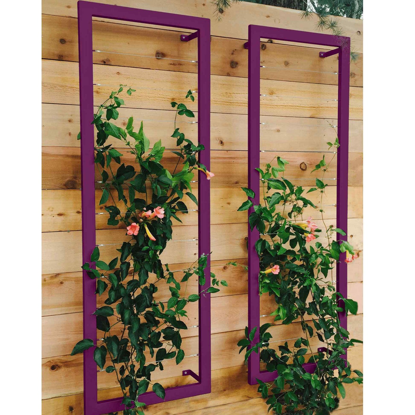 Ina Wall Trellis Large