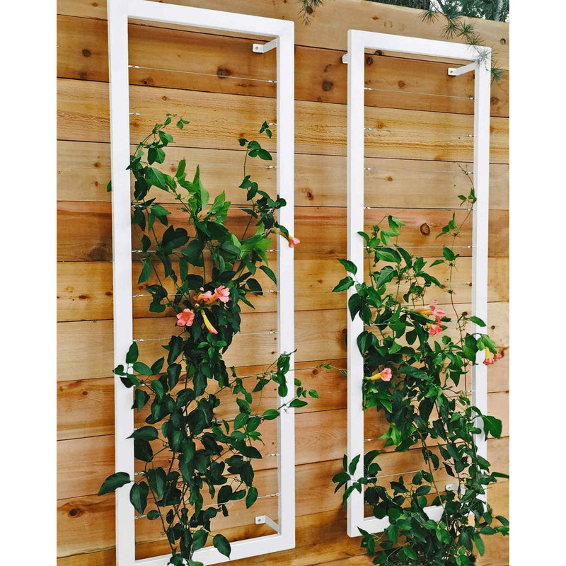 wall trellis for climbing plants Durenda 69'' H x 23'' W Trellis Latitude Run Color: Cloud