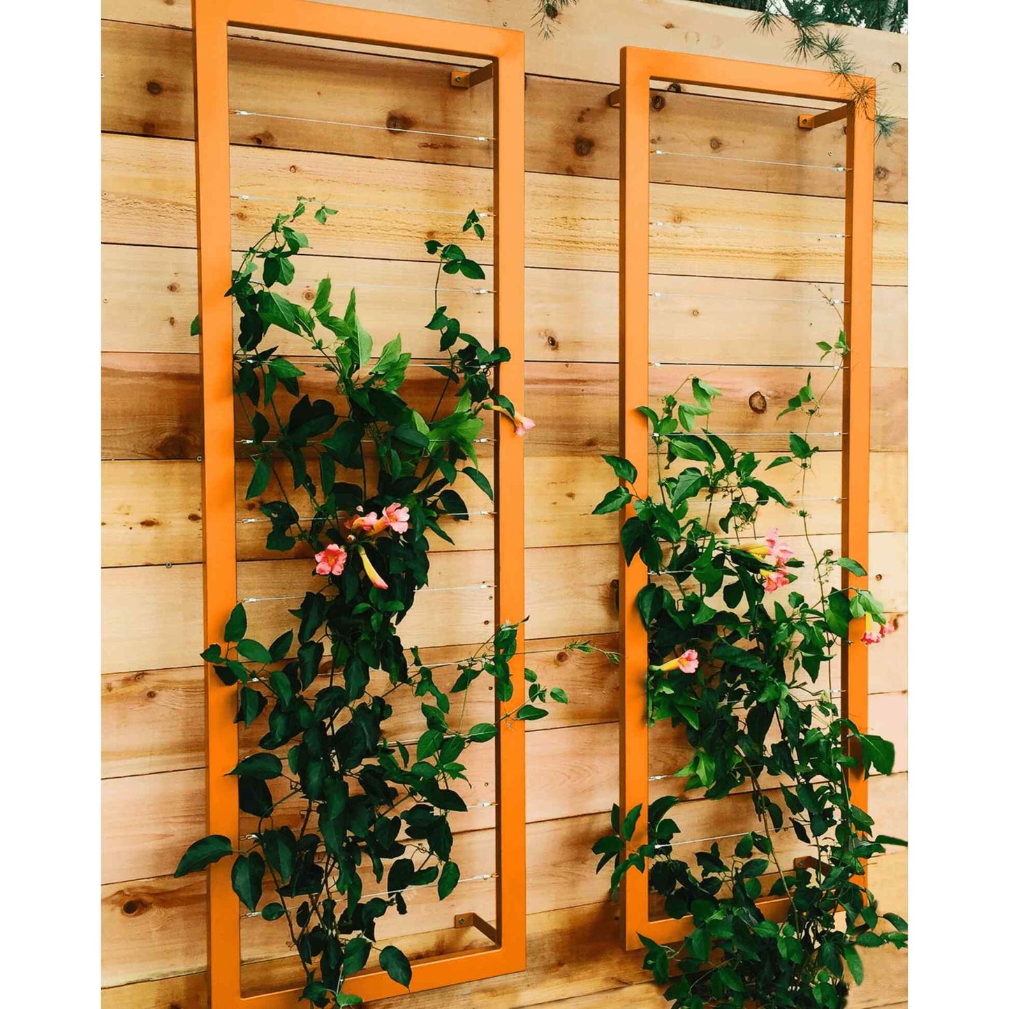 Ina Wall Trellis Large