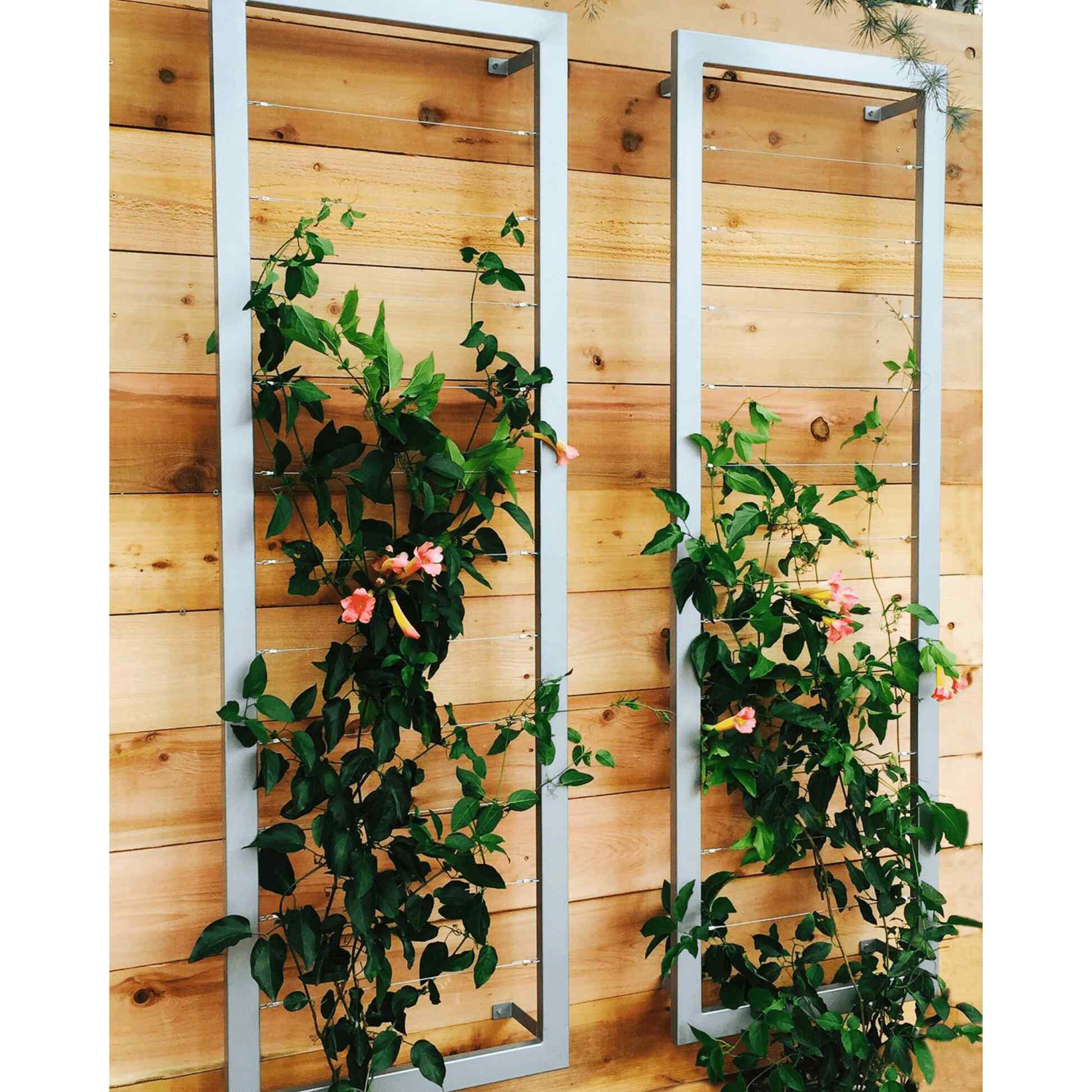 Ina Wall Trellis Large – Epic Gardening