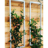 Ina Wall Trellis Large