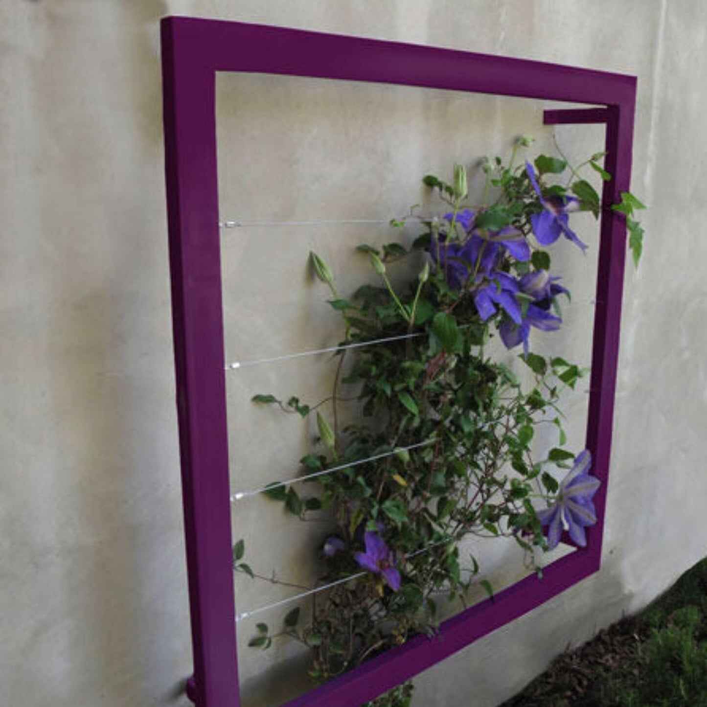 Ina Wall Trellis Regular