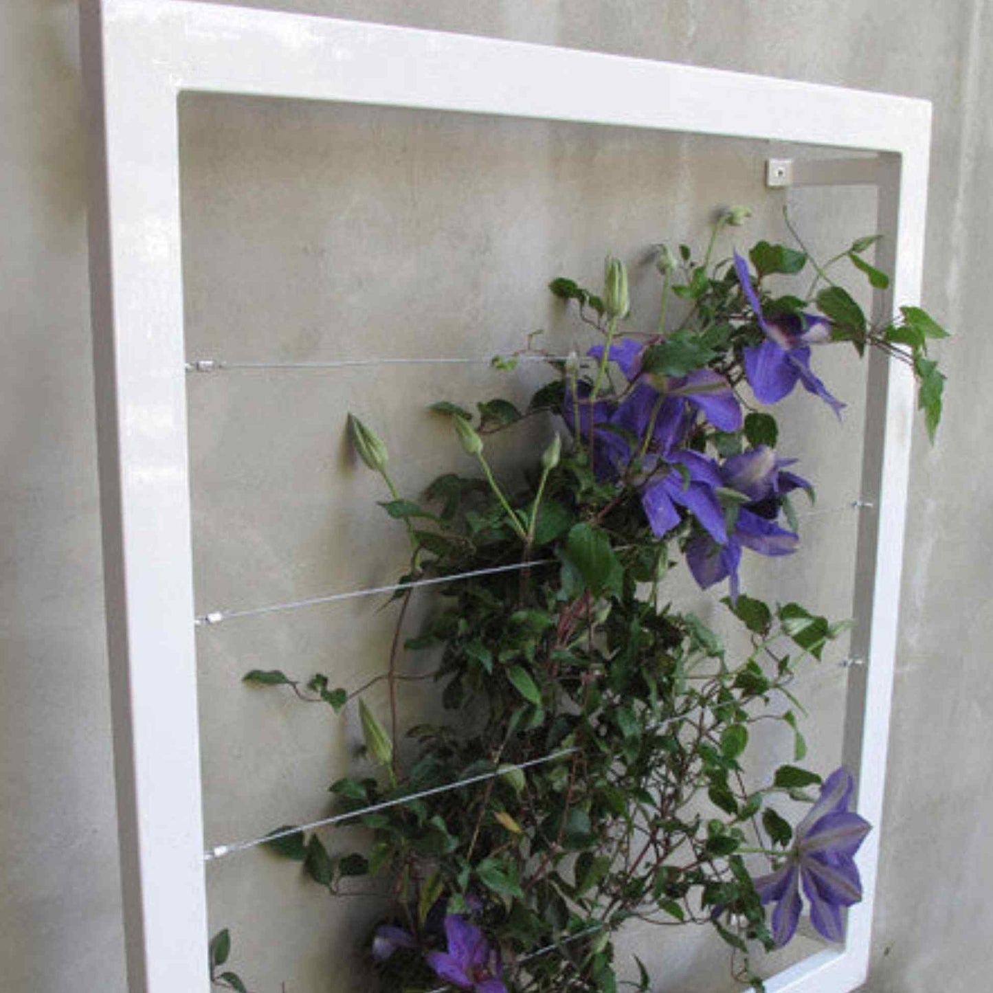 Ina Wall Trellis Regular