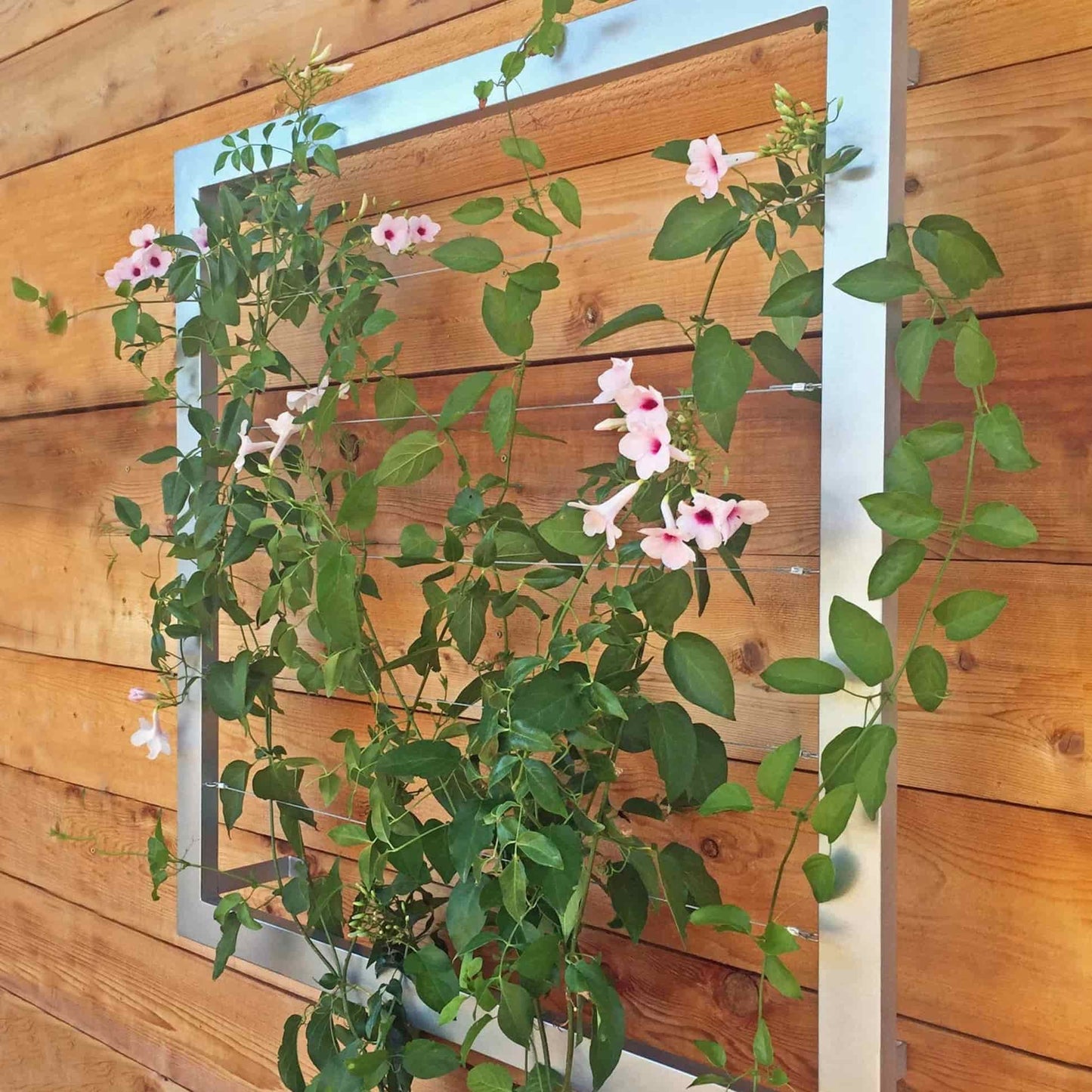 Ina Wall Trellis Regular