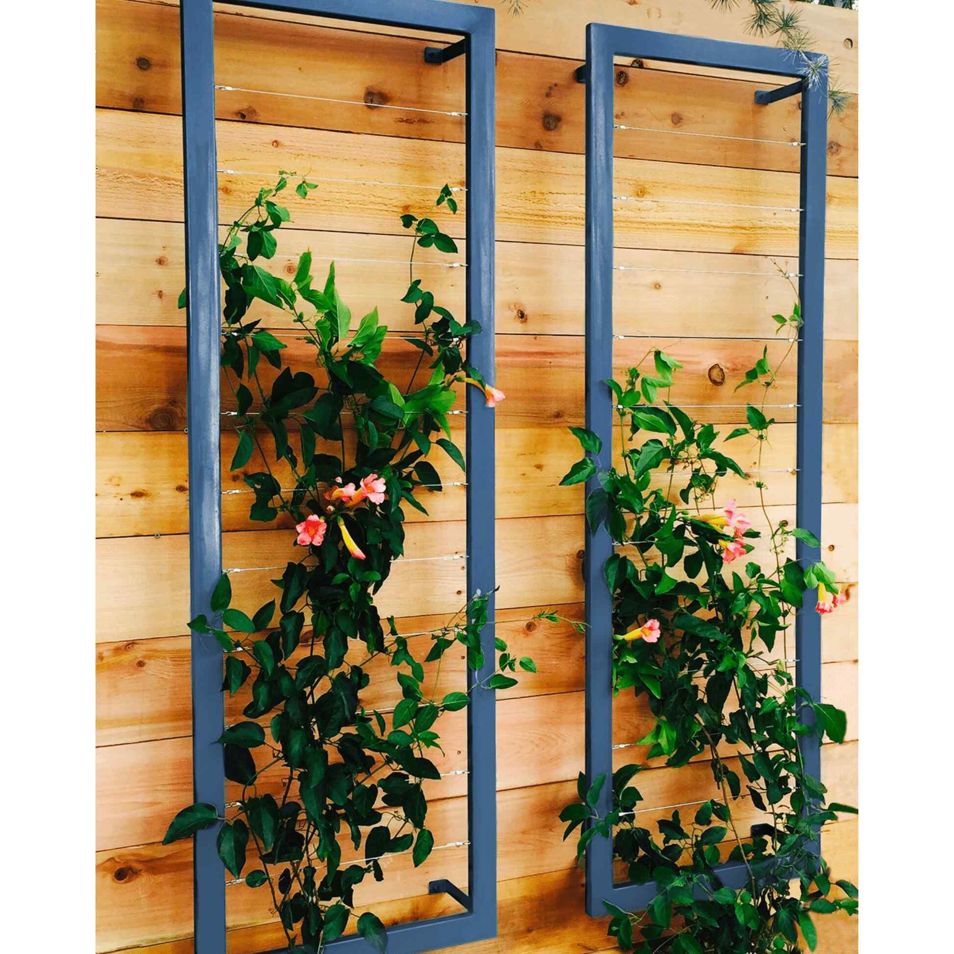 Ina Wall Trellis Large – Epic Gardening