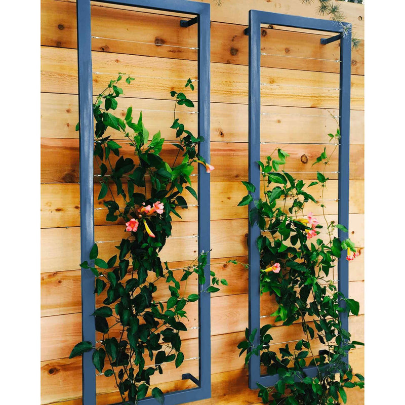 wall trellis for plants Durenda 69'' H x 23'' W Trellis Latitude Run Color: Cloud