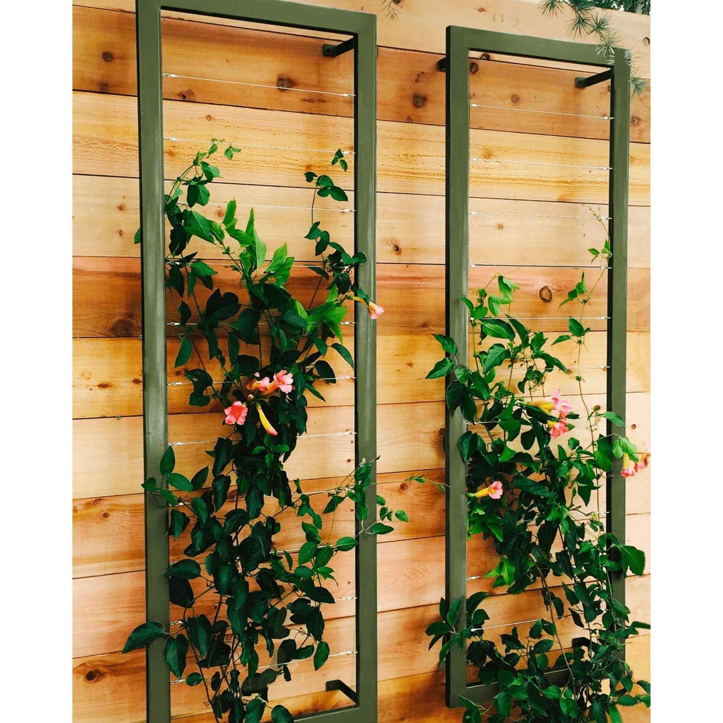 Ina Wall Trellis Large