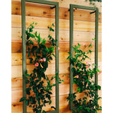 Ina Wall Trellis Large