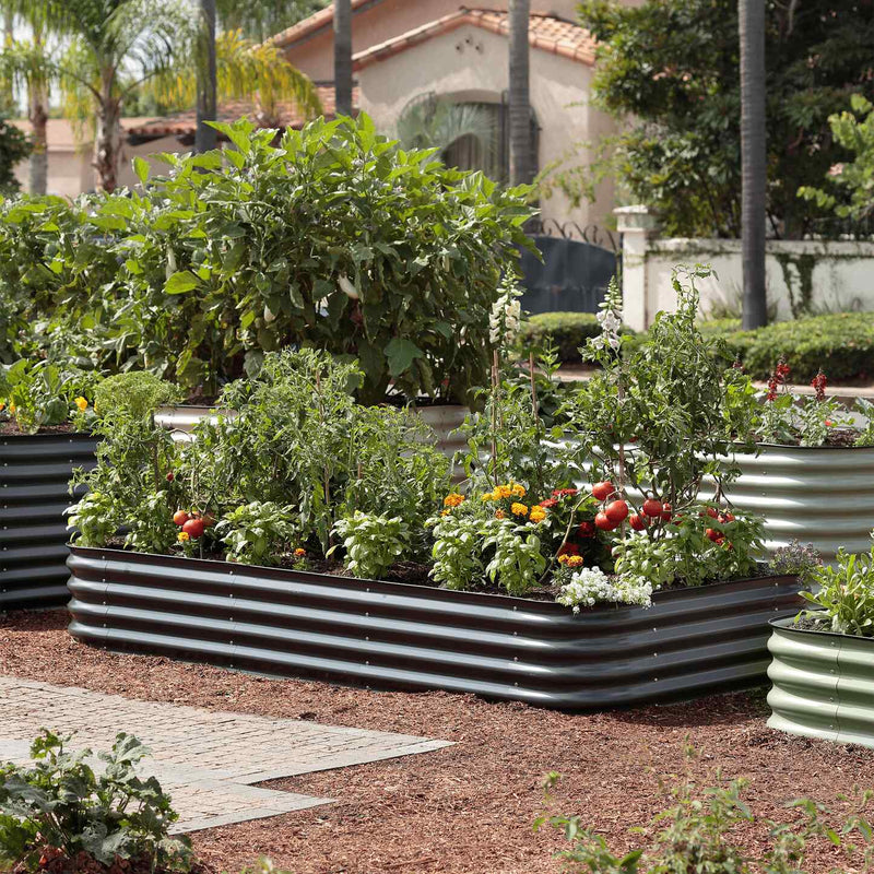 birdie plant pot Jumbo Modular Metal Raised Garden Bed Kit