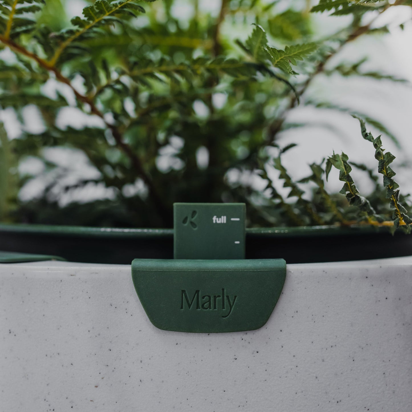 Marly’s Self-Watering Planter