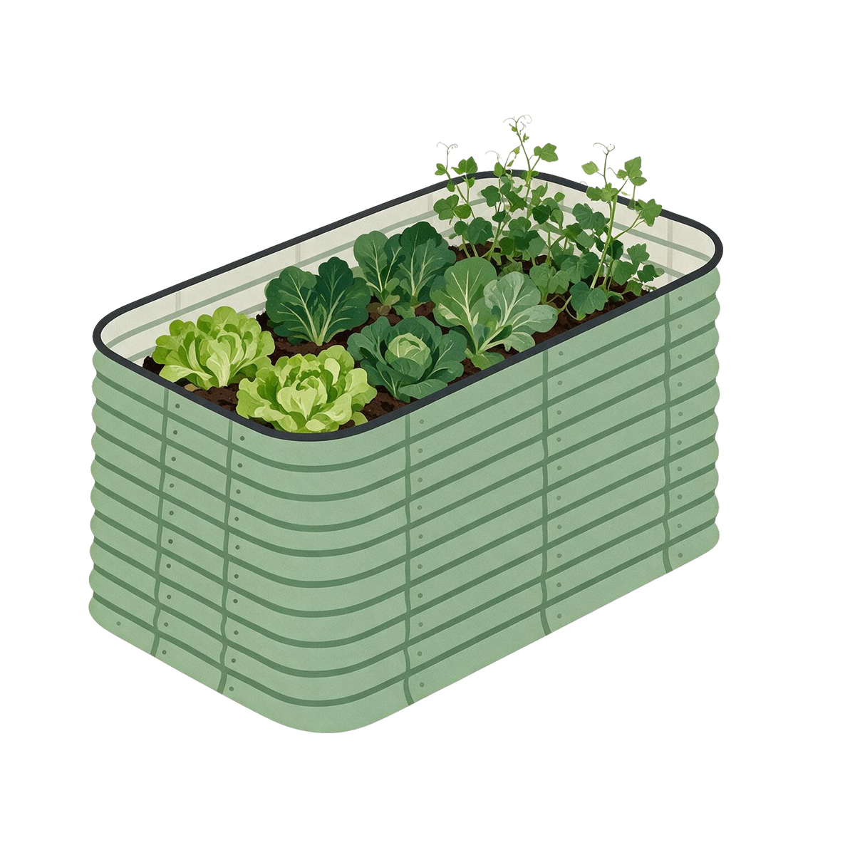 6x3
