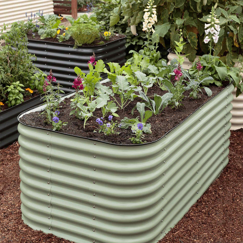 birdie plant pot Medium Modular Metal Raised Garden Bed Kit