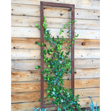 Ina Wall Trellis Large