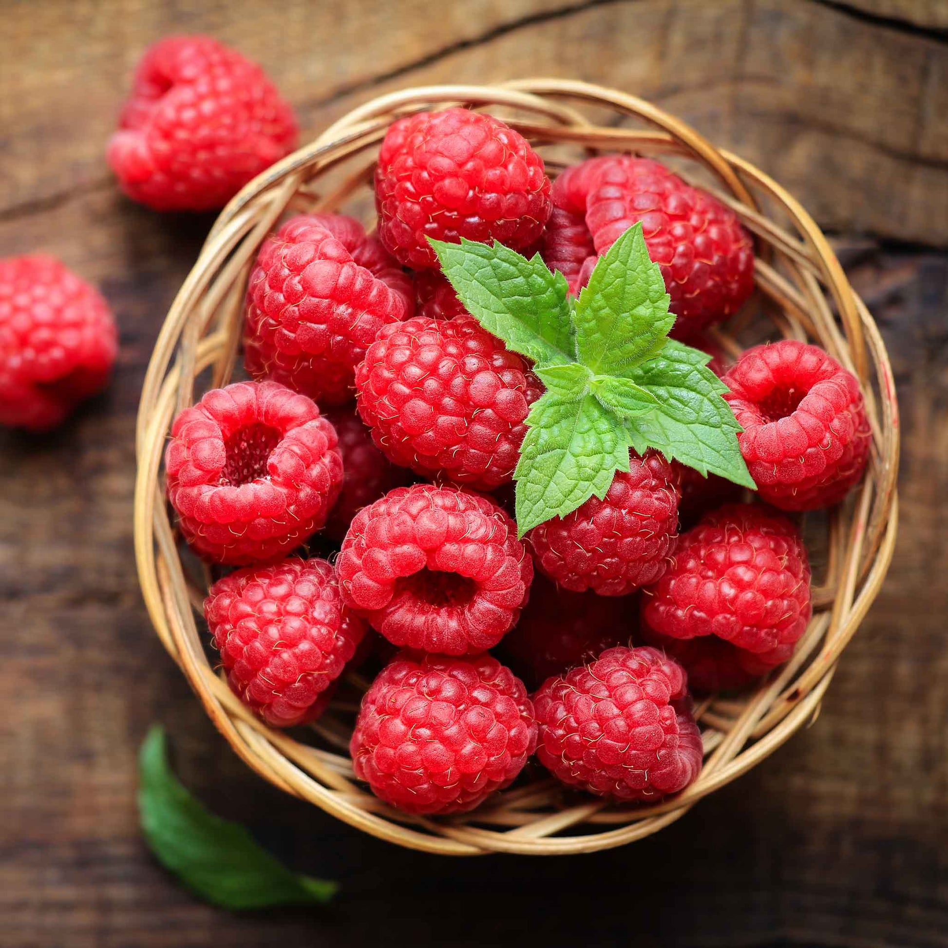 indoor raspberry plant Nova Red Raspberry Plant – Epic Gardening