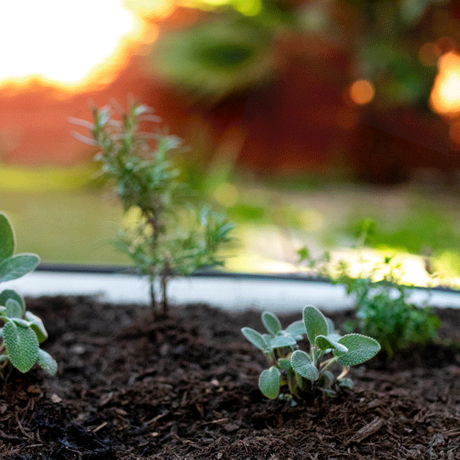 garden tags for plants in grow bags Epic Plant Tags