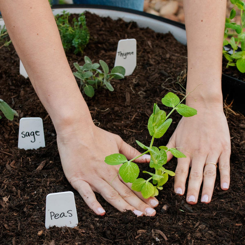 plant tags plastic Epic Plant Tags