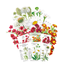 Red & White Flower Bundle