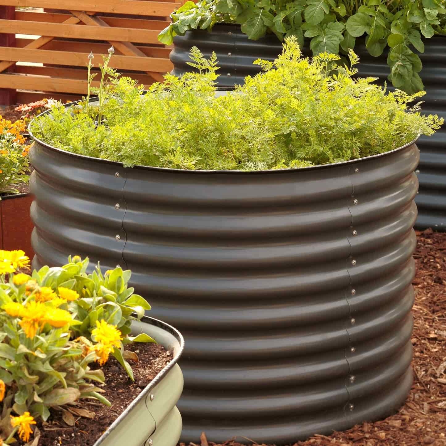 Round Tall Metal Raised Garden Bed