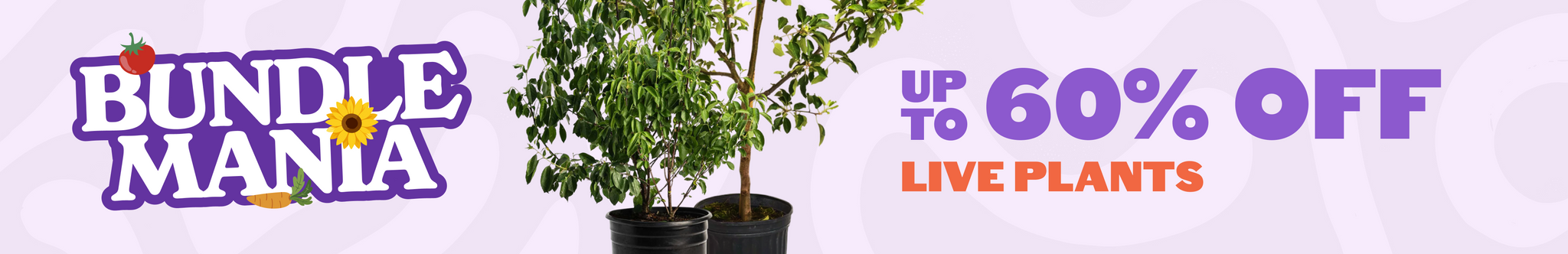Bundle Mania - up to 60% off live plants