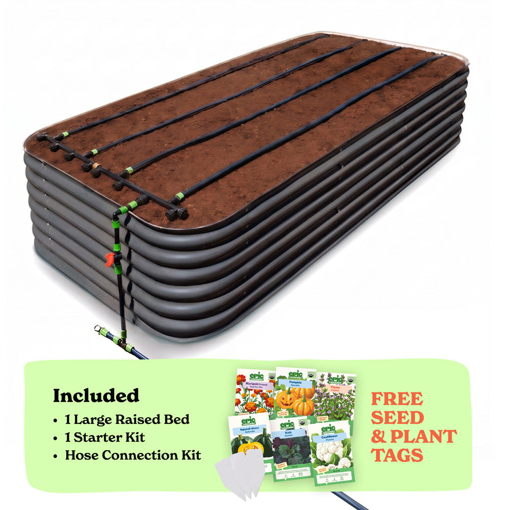 Seed to Harvest Bundle — Go Big or Go Home — Back Friendly