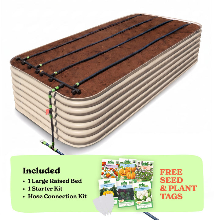 Seed to Harvest Bundle — Go Big or Go Home — Back Friendly