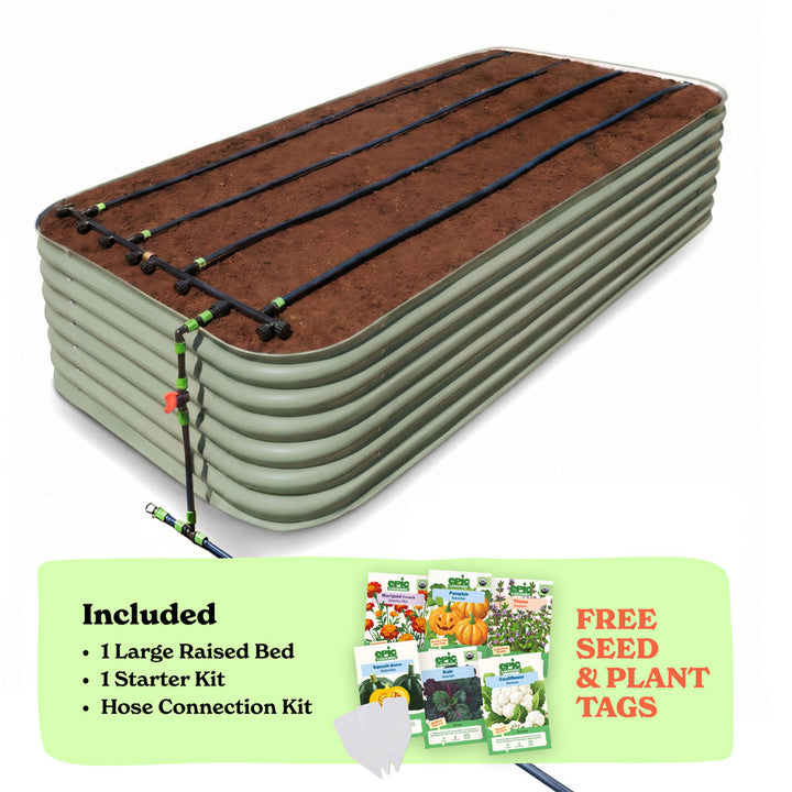 Seed to Harvest Bundle — Go Big or Go Home — Back Friendly