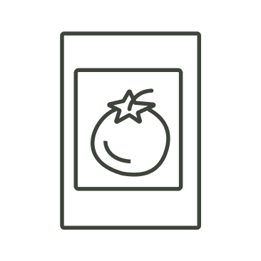 (4) Curated Epic Seeds