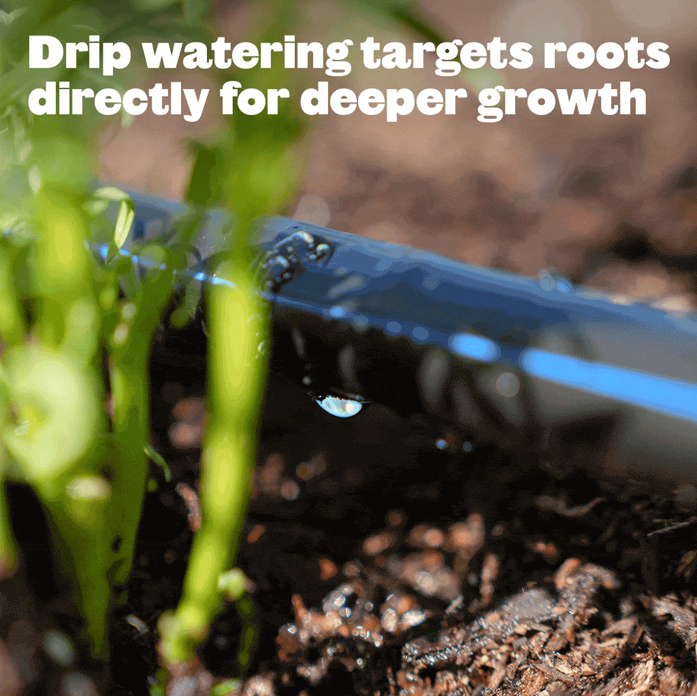 Set It & Forget It Watering System Bundle (Single Bed) - Small