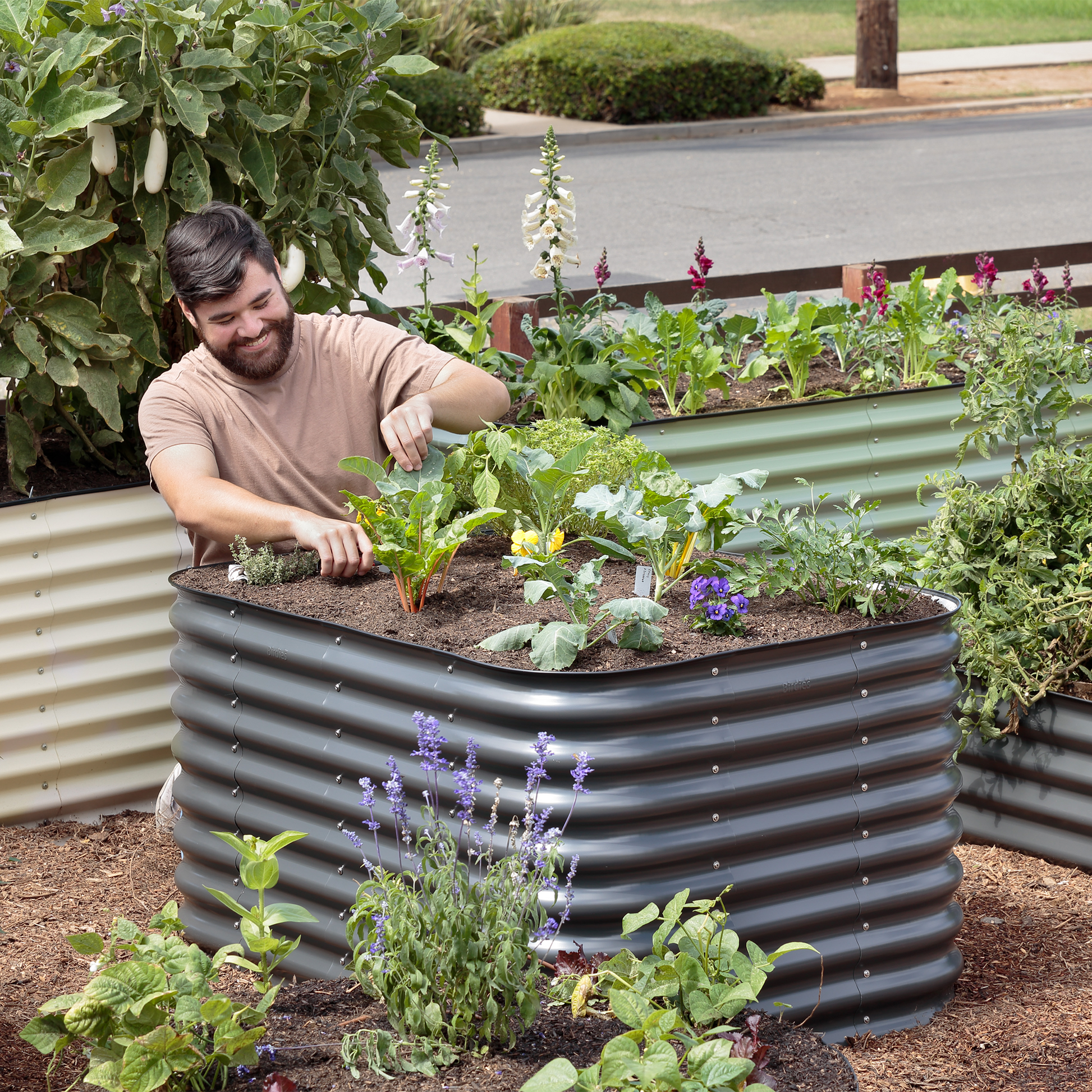 How Birdies Metal Raised Garden Beds Enhance Plant Health