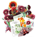 The Heavy Metal Garden