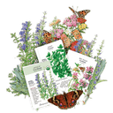 The Witches Patch