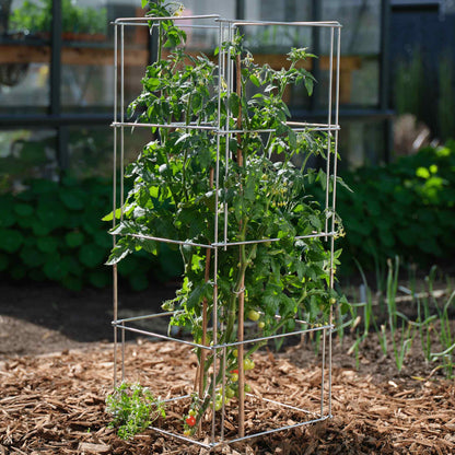 Heavy-Duty Tomato Cage