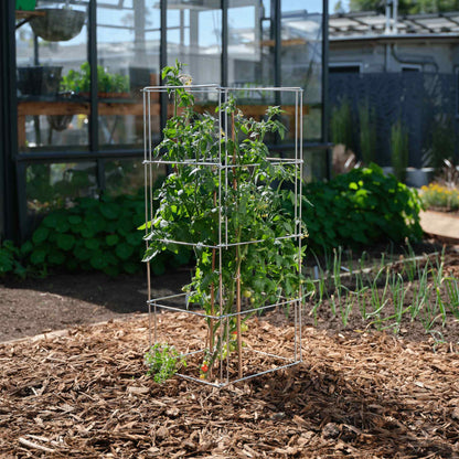 Heavy-Duty Tomato Cage