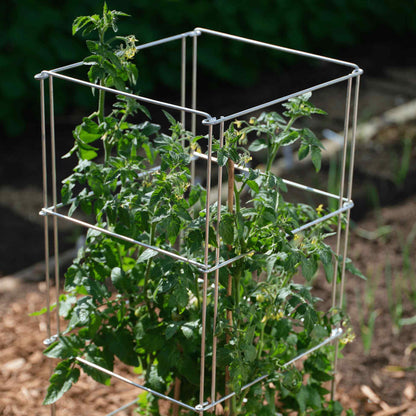 Heavy-Duty Tomato Cage