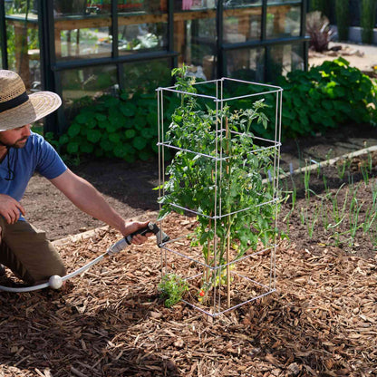 Heavy-Duty Tomato Cage