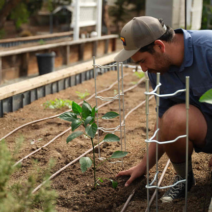 V-Trellis Plant Support