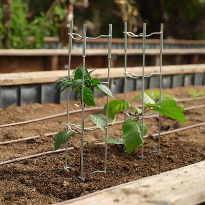 V-Trellis Plant Support