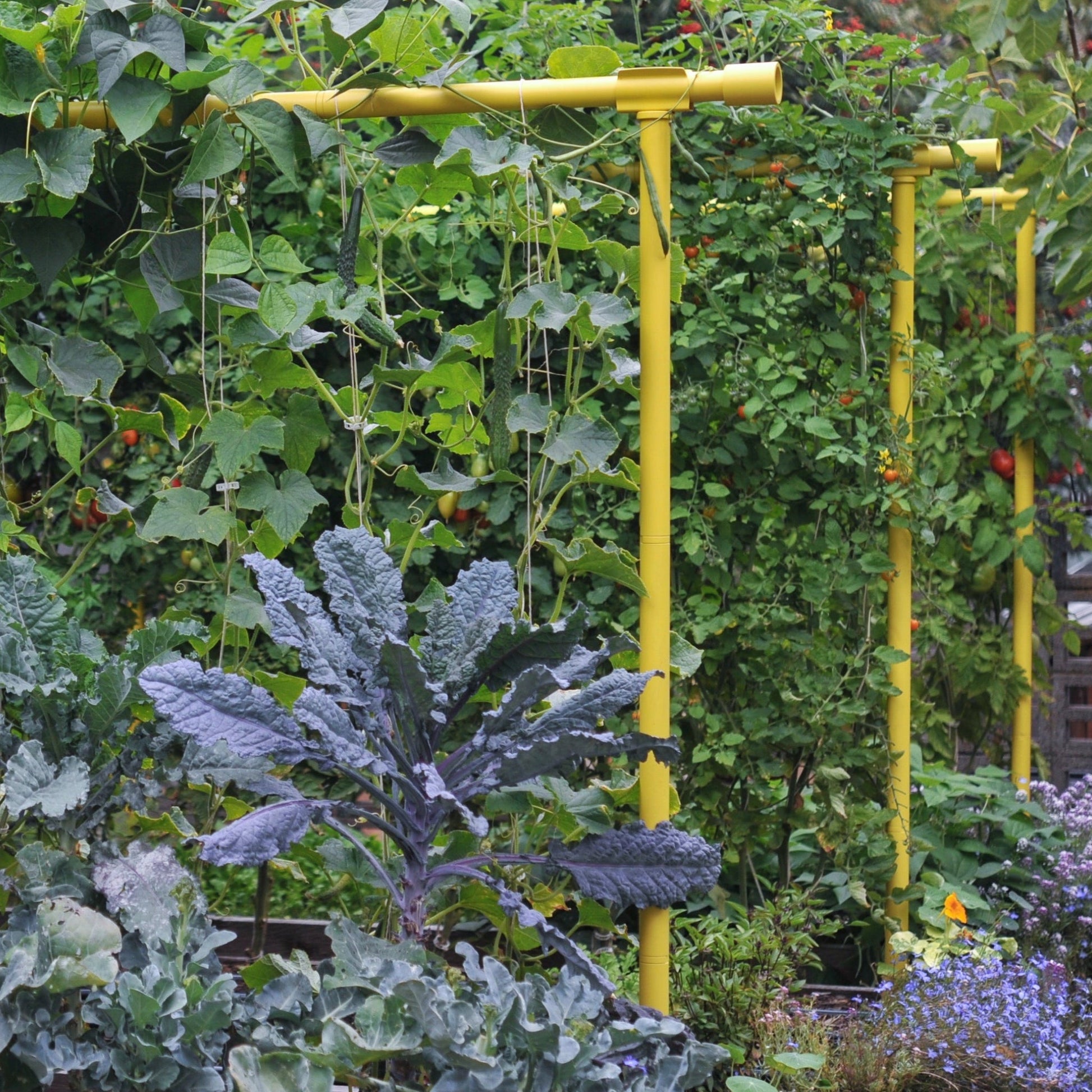 Vegetable Garden Freyr Trellis Product Image