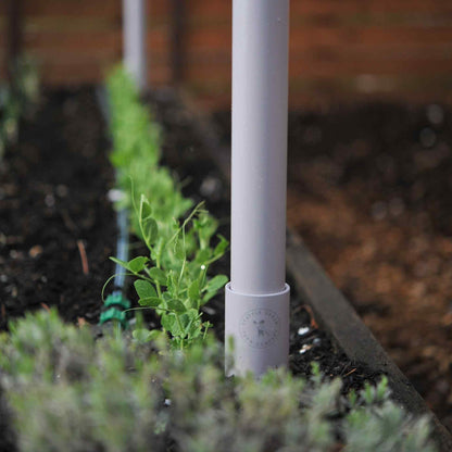 Vegetable Garden Freyr Trellis