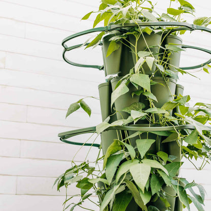 Vertical Planter Plant Support