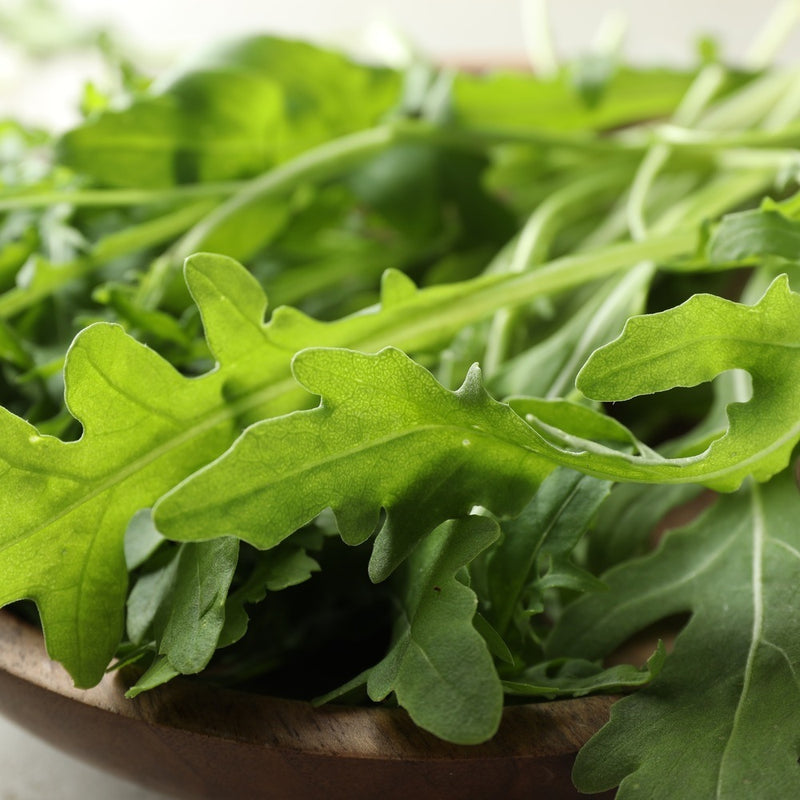 rocket plant seeds Arugula/Rocket Seeds
