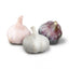 Moderate Climate Garlic Bundle (Zones 7-8)