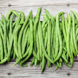 Blue Lake FM-1K Pole Bean Seeds