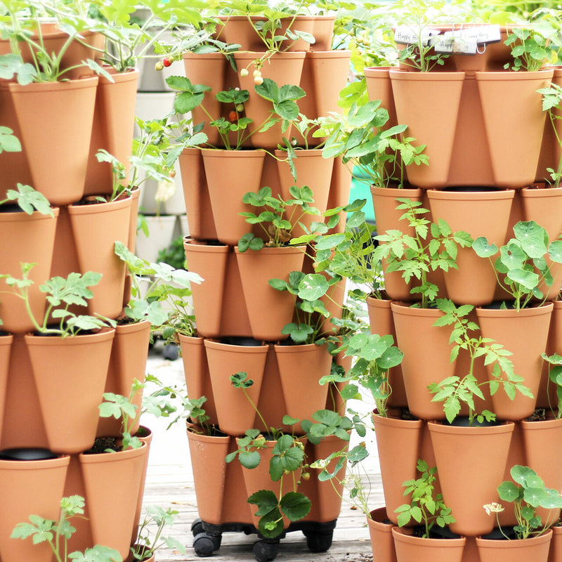 5 pots for plants GreenStalk 5-Tier Vertical Planter